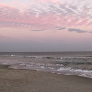 Meet your Posher, Jill